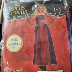 Hocus Pocus costume